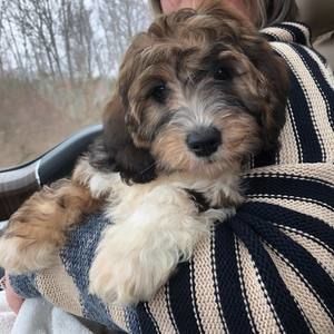 Meet your Posher, Tara